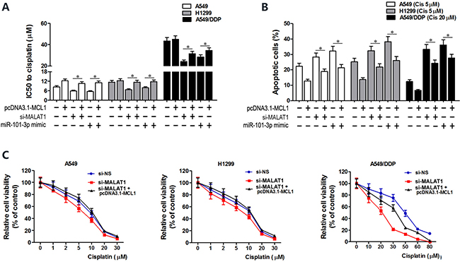 MCL1 upregulation reverses cisplatin sensitivity induced by miR-101-3p mimics and MALAT1 knockdown.
