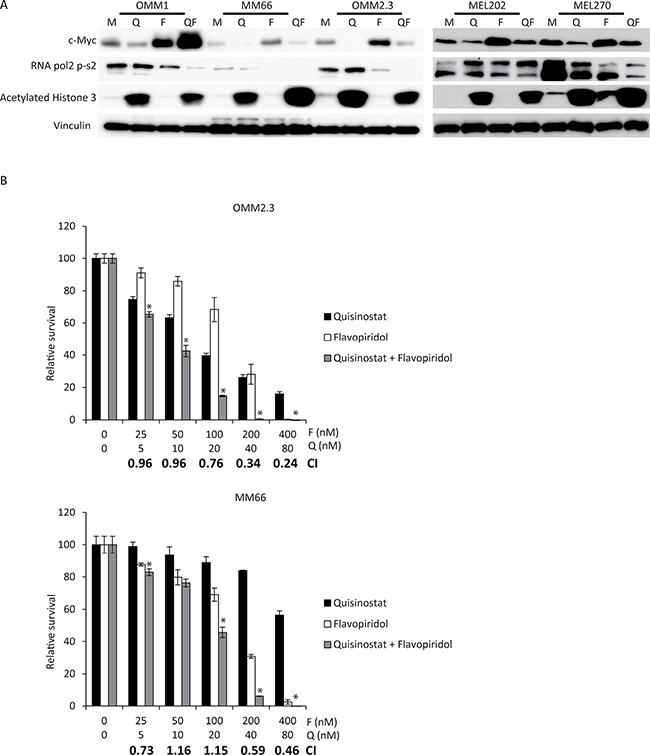 Simultaneous quisinostat and flavopiridol treatment synergistically inhibits growth of UM cell lines.