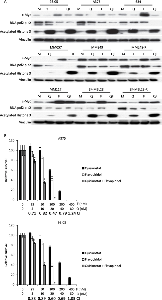 Simultaneous quisinostat and flavopiridol treatment results in synergistic growth inhibition of CM cell lines.