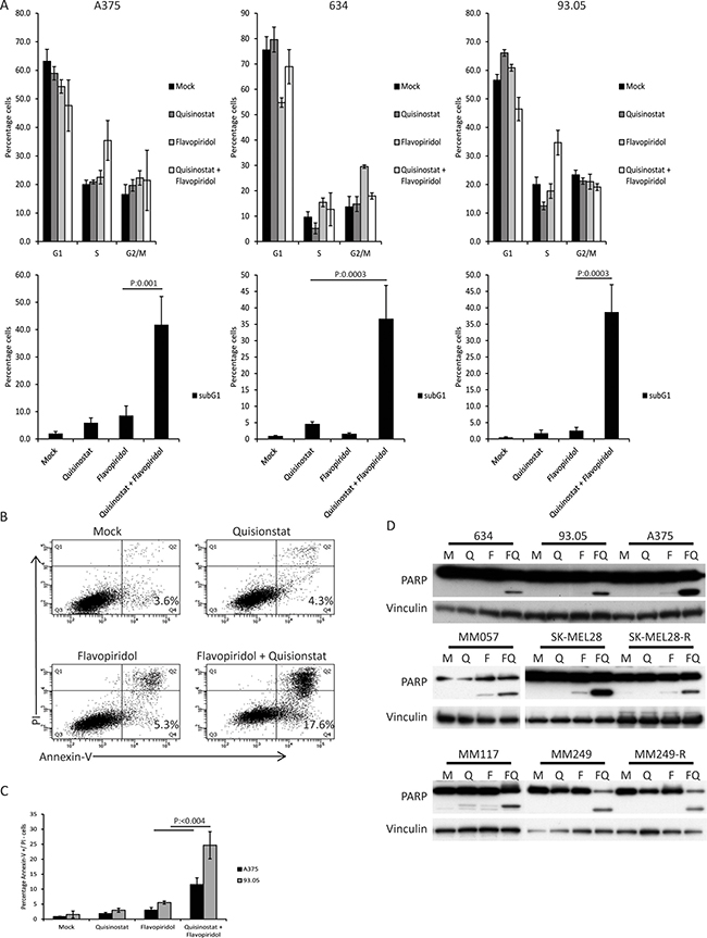 The combination of quisinostat and flavopiridol induces apoptosis in CM cell lines.