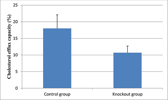 Cholesterol efflux capacity in the knockout and control group.