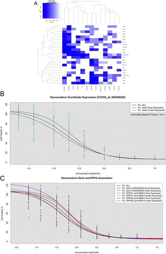 LLR tests for assessing significant gene expression association in BRAF-related genes.