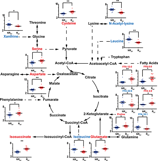 Discriminators with relative quantification (y-axis) and involved pathways for NRBT (blue bars) vs. RBT (red bars).