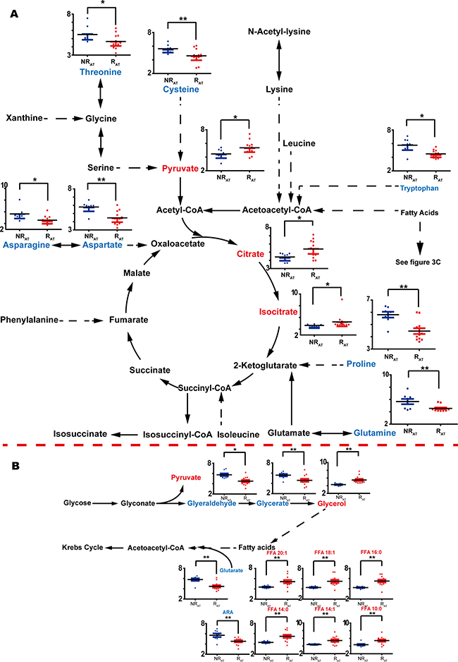 Discriminators with relative quantification (y-axis) and involved pathways for NRAT (blue bars) vs. RAT (red bars)