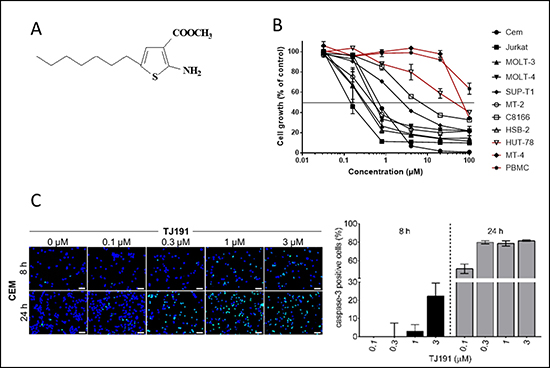Cytostatic and cytotoxic activity of TJ191 in T-cell leukemia/lymphoma cells.