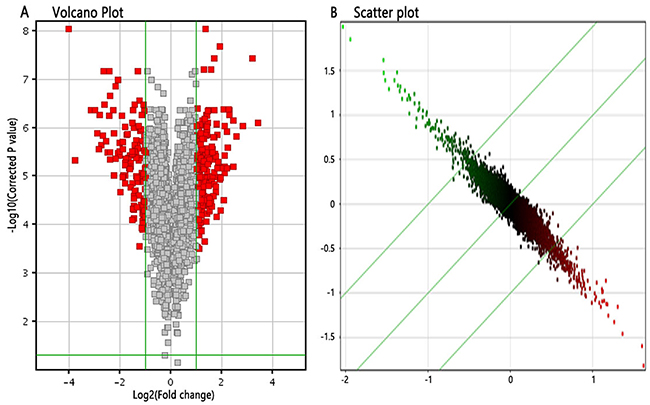 Differentially expressed genes between 4-OH-TAM-treated group and NC groups.