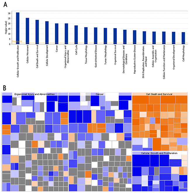 Bio-informatics analysis of the disease and function.