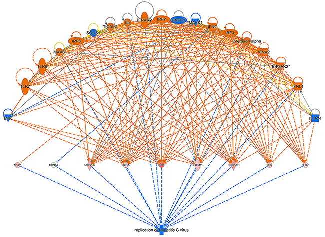 Regulator effect network analysis.