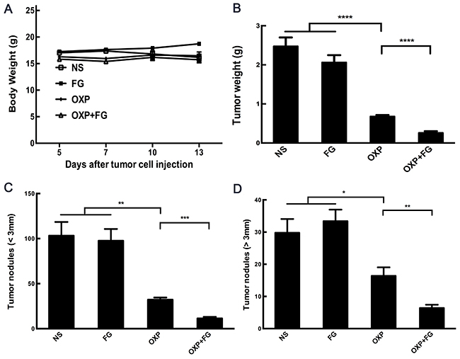 Oxaliplatin and FG combination showed enhanced anti-tumor effect in abdominal metastasis model of colon cancer.