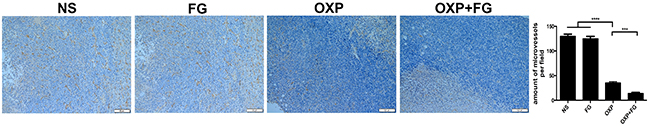 OXP and FG combination repressed tumor angiogenesis.