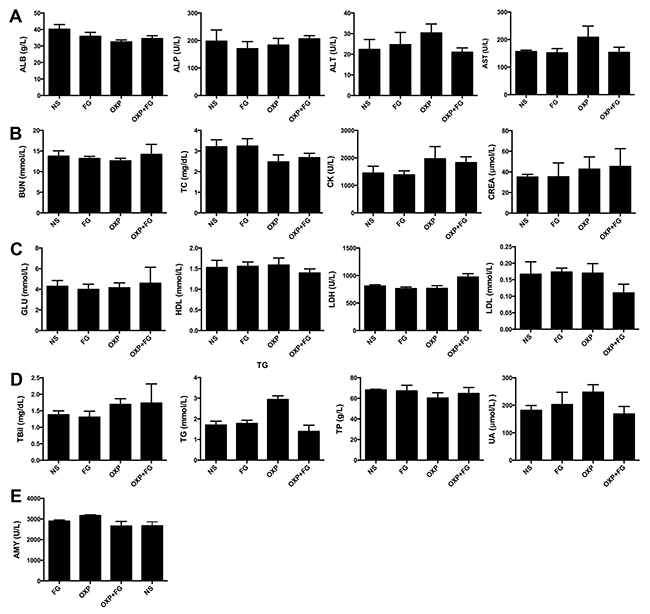 OXP and FG combination exhibited no systemic toxicity in vivo.