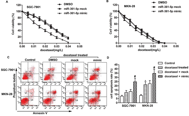 MiR-361-5p suppresses chemoresistance of gastric cancer cells to docetaxel.