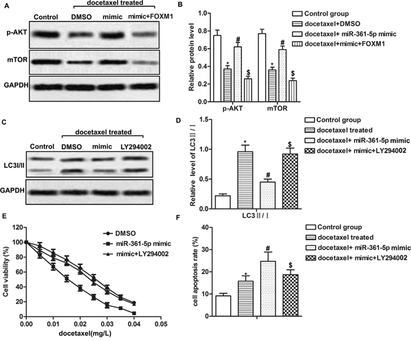 MiR-361-5p suppresses autophagy-induced chemoresistance via the PI3K/Akt/mTOR pathway.