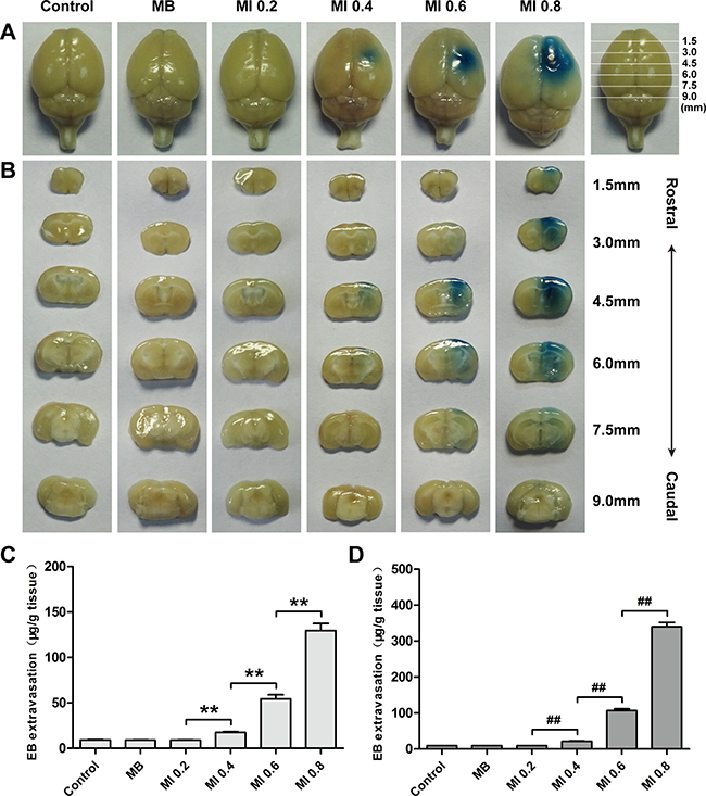 Figure 4: