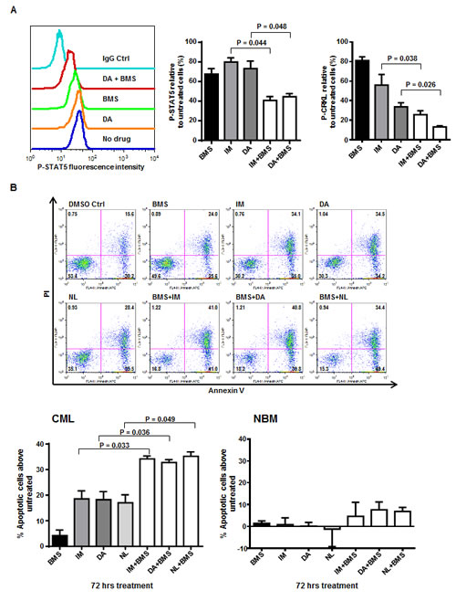 A combination of BMS-911543 and tyrosine kinase inhibitors (TKIs) results in a significant reduction in BCR-ABL and JAK2/STAT5 activities and induction of apoptosis of CD34