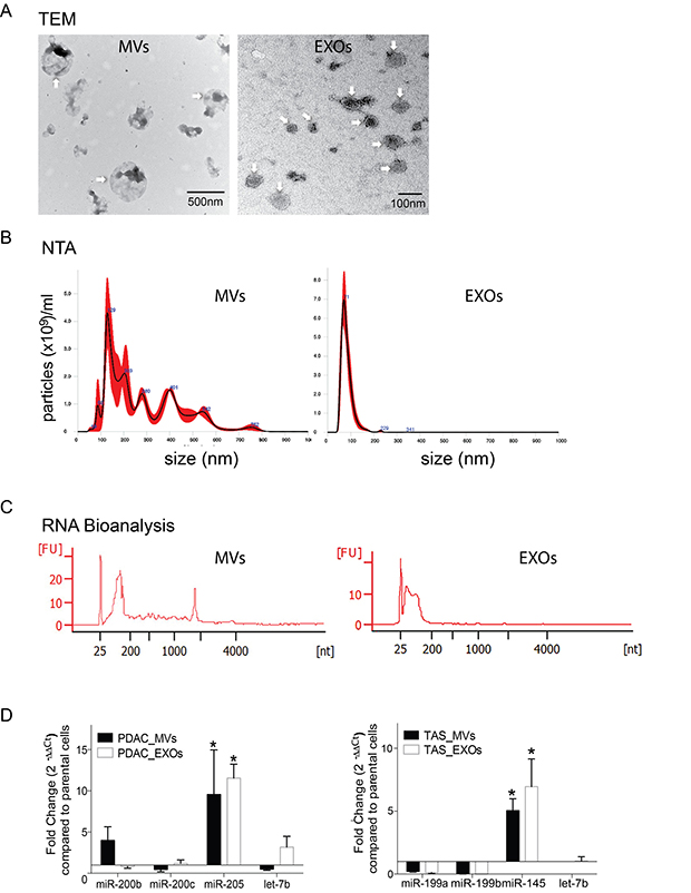 miRNA concentrations selectively enriched in EVs.