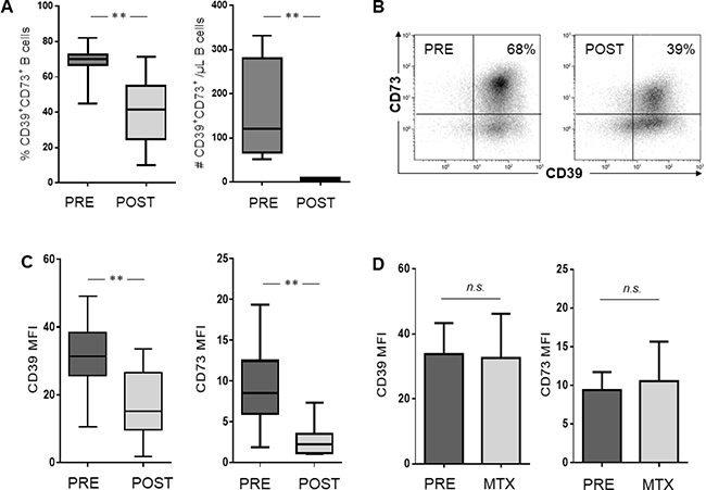 Phenotypic characterization of B cells in patients with HNSCC before and after treatment with CRT, respectively.