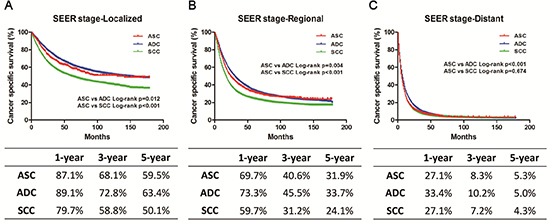 Kaplan-Meier plot and log-rank test for the cancer-specific survival (CSS) according to SEER stage among these three histological types.
