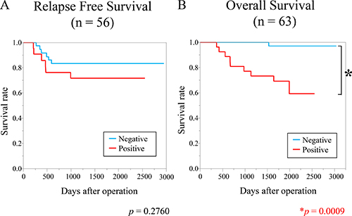 High expression of YTHDF1 was associated with poorer overall survival.