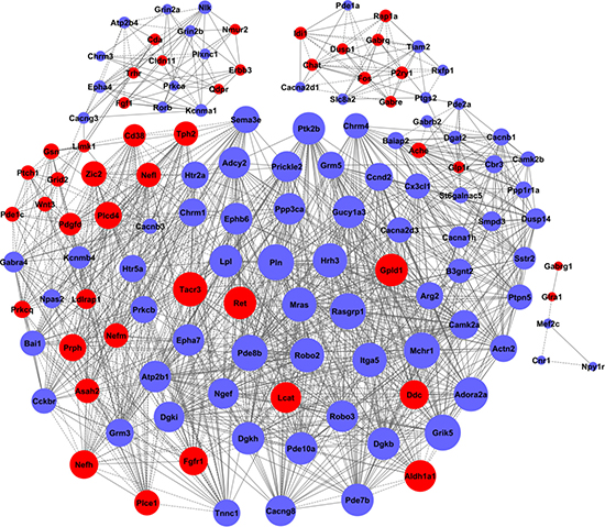 The co-expression network of genes formed from the control group.