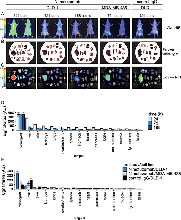 Biodistribution analysis of IRDye800CW-nimotuzumab in mice bearing DLD-1 and MDA-MB-435 xenografts.