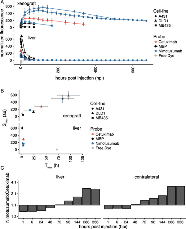 Summary of IRDye800CW-nimotuzumab fluorescent imaging.