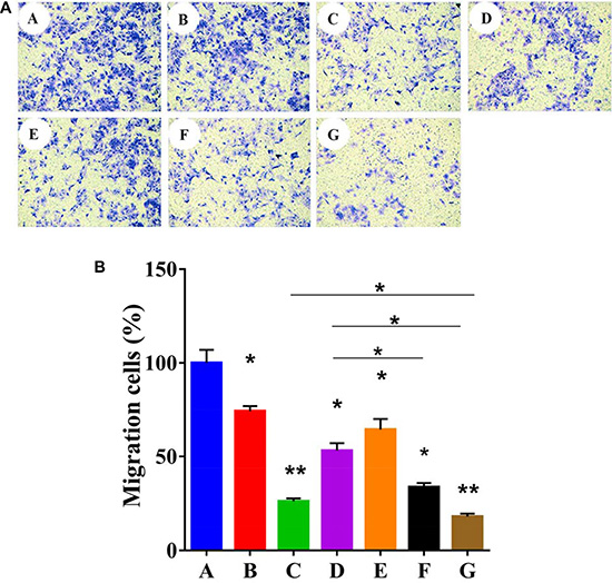 Figure 6: