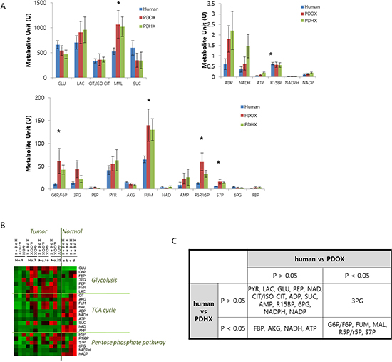 Comparative analysis of metabolite profiling between original patient tumors and PDOX and PDHX tumors.