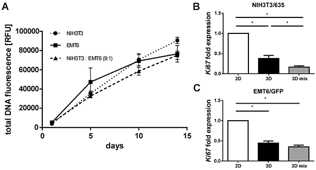 Proliferation of cells cultured on the silk scaffolds in mono- and co-culture.