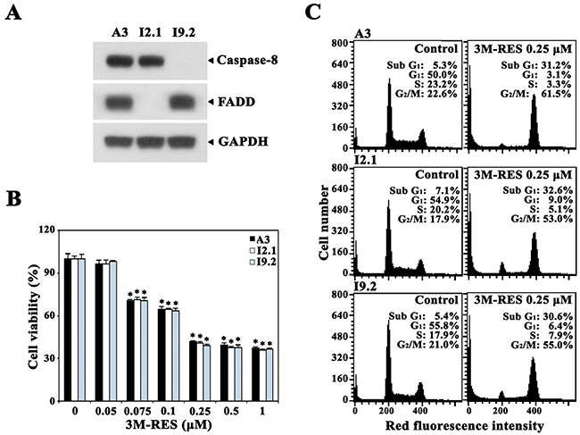 Effect of cis-3M-RES on cell viability and cell cycle distribution in FADD- and caspase-8-positive wild-type Jurkat T cells (clone A3), FADD-deficient Jurkat T cells (clone I2.1), and caspase-8-deficient Jurkat T cells (clone I9.2).