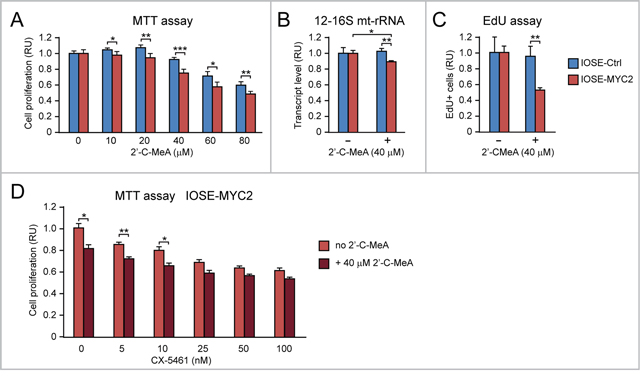 MYC overexpression sensitizes human ovarian epithelial cells to the anti-proliferative action of 2&#x2019;-C-MeA, alone or in combination with CX-5461.