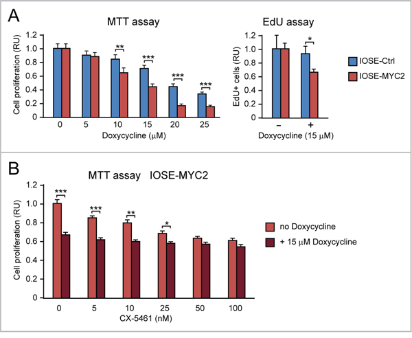 MYC overexpression sensitizes human ovarian epithelial cells to the anti-proliferative action of doxycycline, alone or in combination with CX-5461.