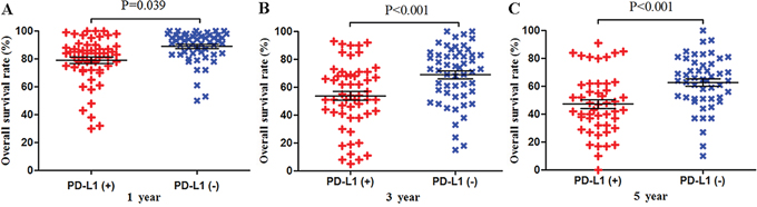 Scatter plot of OS at 1, 3 and 5 years for patients positive or negative for PD-L1 expression.
