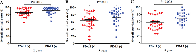 Scatter plot of OS at 1, 3 and 5 years for patients positive or negative for PD-L1 expression.