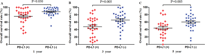 Scatter plot of OS at 1, 3 and 5 years for patients positive or negative for PD-L1 expression.