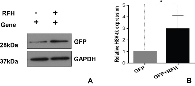 Figure 3: