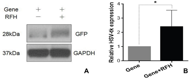 Figure 6: