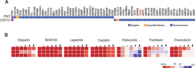 Drug sensitivity on CSFTCs as a potential predictive tool for treatment response.