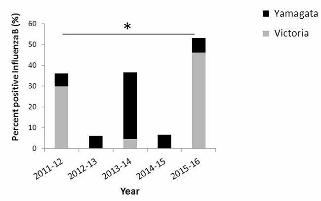 Prevalence of influenza B infections in Israel between 2011 and 2016.