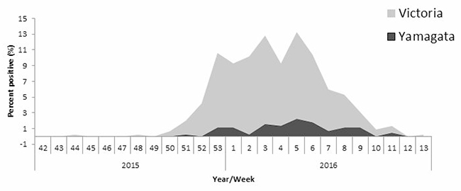 Weekly distribution of influenza B infection.