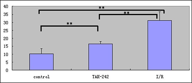 Analysis of TLR4 expression in intestinal tissue using ex vivo NIR-II immunofluorescence imaging (** = P &#x003C; 0.05).