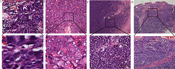 Figure 1: