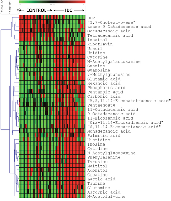 Heatmap of 42 differential metabolites between IDC and controls in tissue samples.