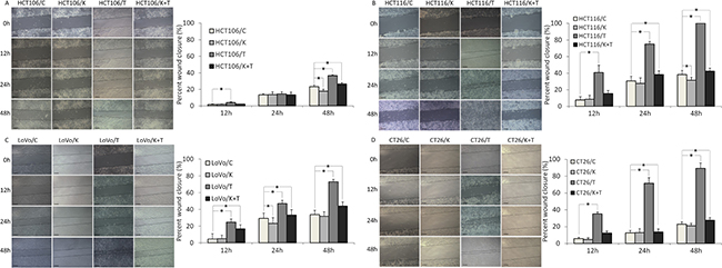 Migration of the four CRC cell lines after KLT and TNF-&#x03B1; treatment was measured using a wound healing scratch assay (original magnification &#x00D7;100).