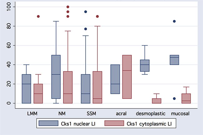 Heterogeneity of Cks1 nuclear and cytoplasmic expression