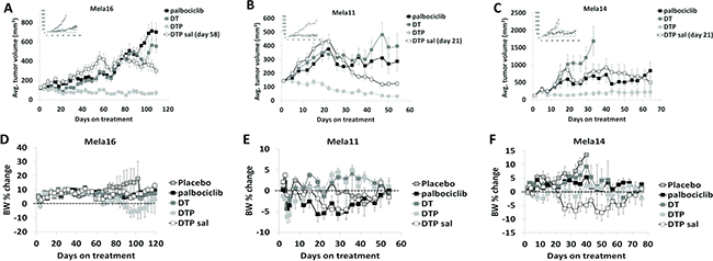 Antitumor activity of dabrafenib, trametinib, and palbociclib in combination.