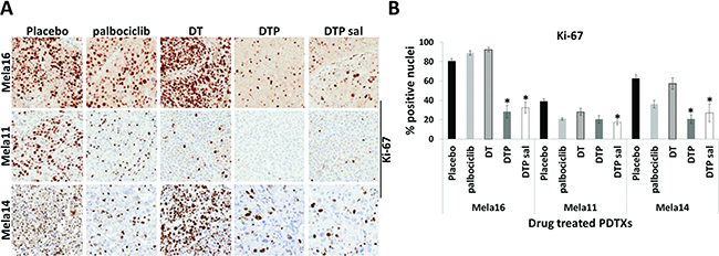 Changes in Ki-67 protein expression among treatment groups.