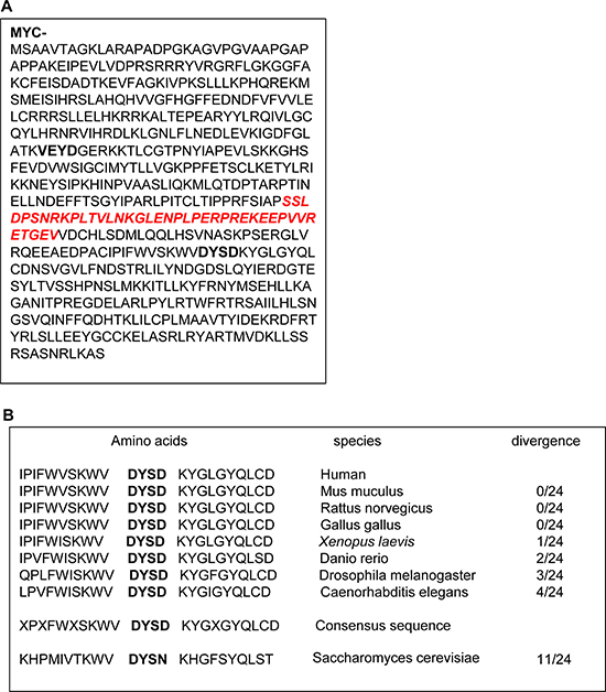 Plk1 cleavage sequence is highly conserved in phylogeny.