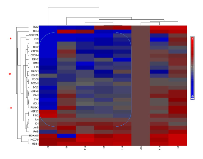 Repression of Tumor Suppressor genes accompanies overexpression of HOXA/MEIS1.