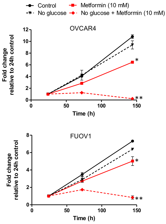 Glucose deprivation sensitizes metformin resistant cell lines FUOV1 and OVCAR4 to metformin treatment.